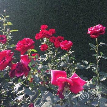 丹阳私墅公寓(玄武东路1号分店)酒店提供图片