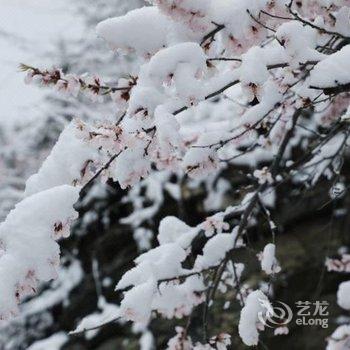 北京越月鑫马家味道民宿酒店提供图片