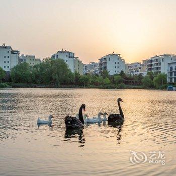 安然海边民宿(太公岛三路分店)酒店提供图片