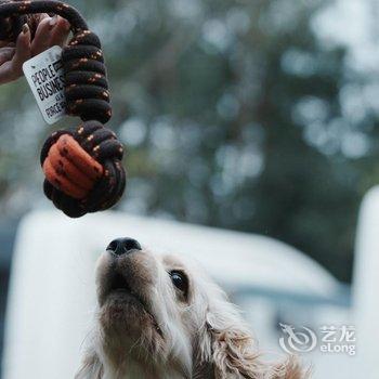 广州九龙湖国王酒店酒店提供图片