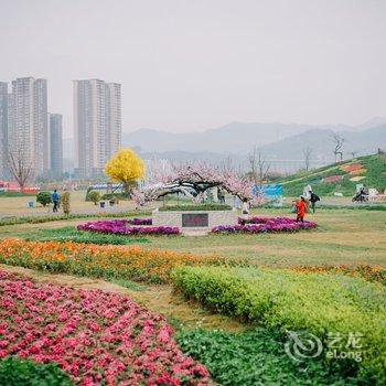 成都元素山丘民宿酒店提供图片