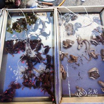 营口净初小住特色民宿(山海大道分店)酒店提供图片