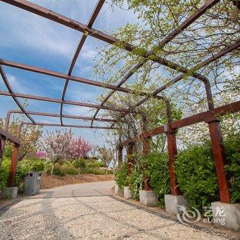 青岛包租龙公寓(情人伞分店)酒店提供图片