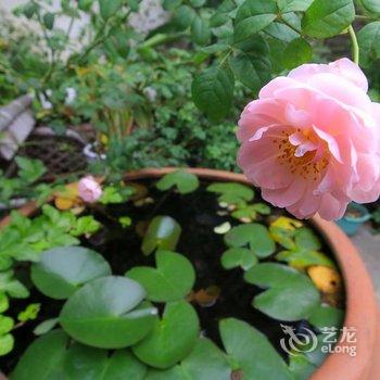 荣驿国际青年旅舍(横店梦幻谷总店)酒店提供图片