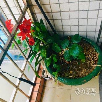 广州白云江夏公寓酒店提供图片
