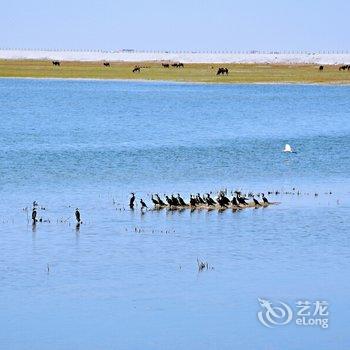 额济纳旗沙日淖尔水库牧家游民宿酒店提供图片