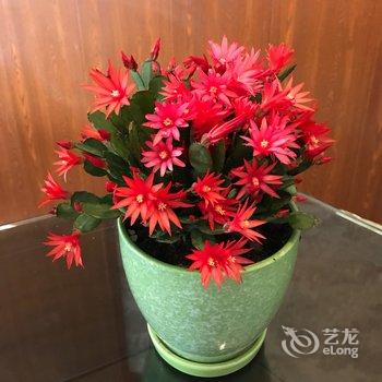 重庆Romain的美好时光公寓酒店提供图片