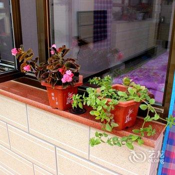 �ɷ�֮����ɫ����(������������)�Ƶ��ṩͼƬ