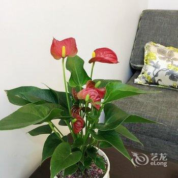 重庆晟泽名宿公寓酒店提供图片