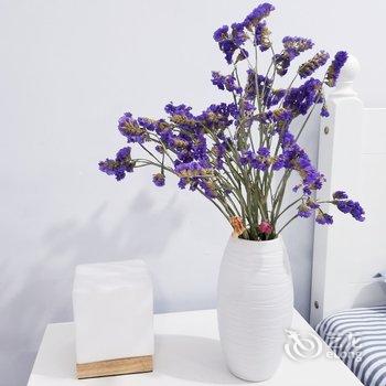 古韵小屋公寓(西安冉家村店)酒店提供图片