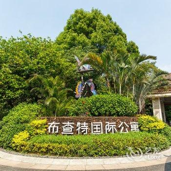 广州大鹏815公寓酒店提供图片