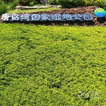 青岛幸福美满公寓(鹿角湾村分店)酒店提供图片