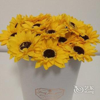 广州Penthouse.公寓(华健二马路分店)酒店提供图片