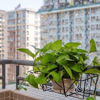 成都笑笑公寓酒店提供图片