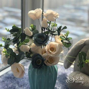 西安开心果和棒棒糖公寓(延兴门北村分店)酒店提供图片