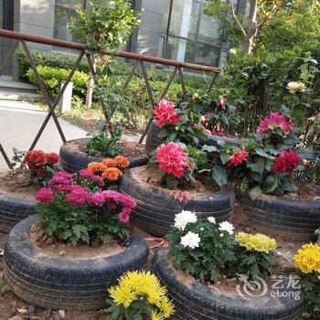 青岛花间集别墅酒店提供图片