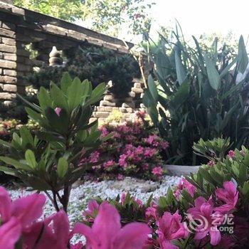 柠檬之家公寓(青岛浮山所路店)酒店提供图片