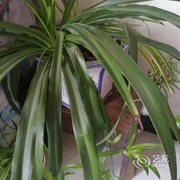 恒琴特色民宿(北京北二环城市公园店)酒店提供图片