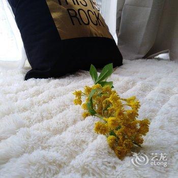 广州北欧加小清新普通公寓酒店提供图片