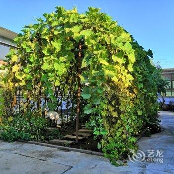 北京我的小院民宿酒店提供图片