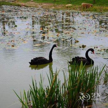 贵阳阿利亚里斯湖畔客栈酒店提供图片