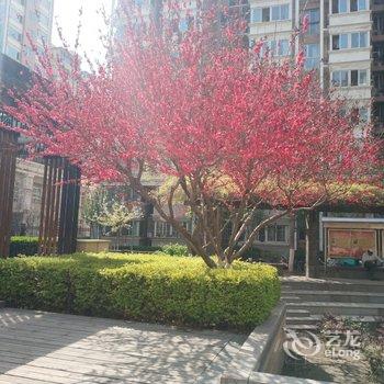 王姐公寓(北京都市馨园店)酒店提供图片