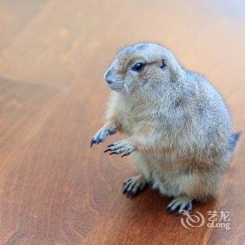 北京Emma的小家公寓(东十里堡村分店)酒店提供图片