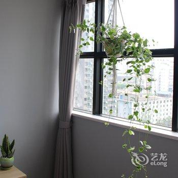 �ɶ����ܹ�Ԣ(ȫ����ľ�����ݷֵ�)�Ƶ��ṩͼƬ