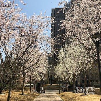 北京雷拉公寓酒店提供图片