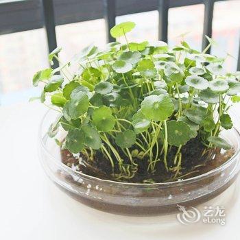 成都小黑Xe公寓酒店提供图片