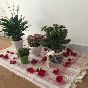 上海兔子家名宿普通公寓酒店提供图片