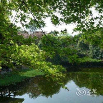 重庆西池田园酒店酒店提供图片