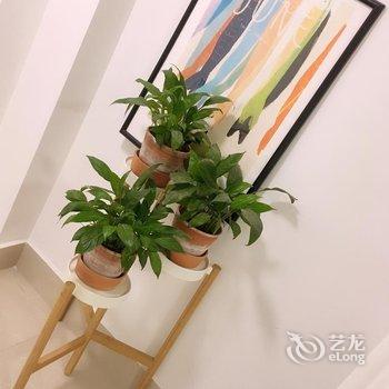 泉州天使民宿-万达广场机场五店市动车站(3号店)酒店提供图片