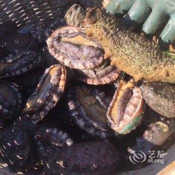 青岛寸眉老人民宿(10号店)酒店提供图片