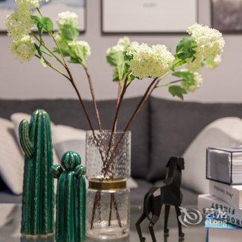 成都杜建飞(00130340)公寓(四川省人大会议中心分店)酒店提供图片