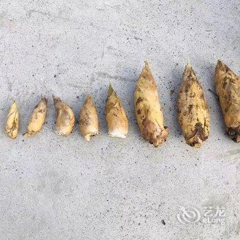 泾县芝屏山庄酒店提供图片
