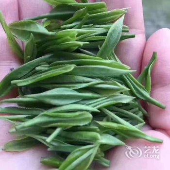 泾县芝屏山庄酒店提供图片