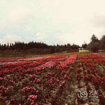 石柱昌盛山庄酒店提供图片