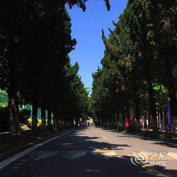 青岛Mr欧公寓酒店提供图片