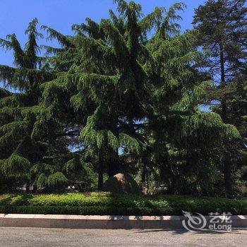 青岛Mr欧公寓酒店提供图片