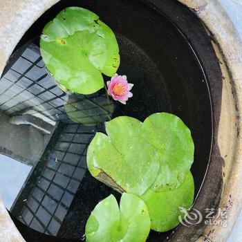青岛采姑娘的小蘑菇民宿酒店提供图片