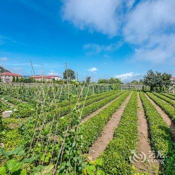 青岛崂山院落民家小院酒店提供图片