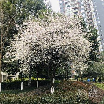 重庆蒲洋公寓酒店提供图片