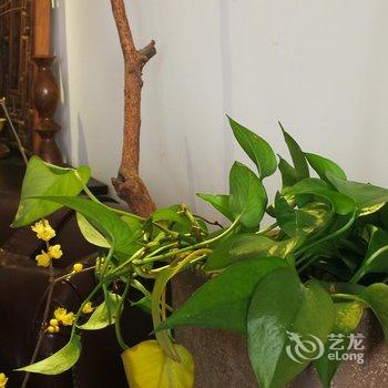 重庆且逍遥公寓酒店提供图片