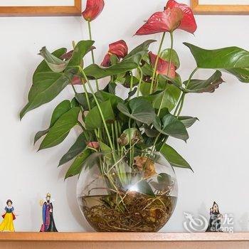 上海璞宿民宿(城南路分店)酒店提供图片
