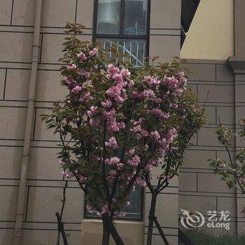 青岛宏程家天下公寓(5号店)酒店提供图片