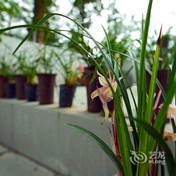 青城山道教圆明宫客栈酒店提供图片