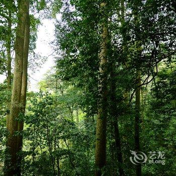 青城山道教圆明宫客栈酒店提供图片