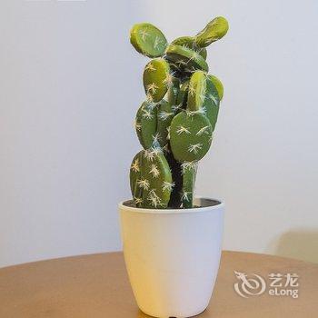 西安路客BC3900精品民宿酒店提供图片