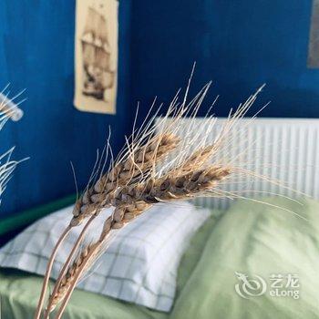 北京理想主义青旅酒店提供图片